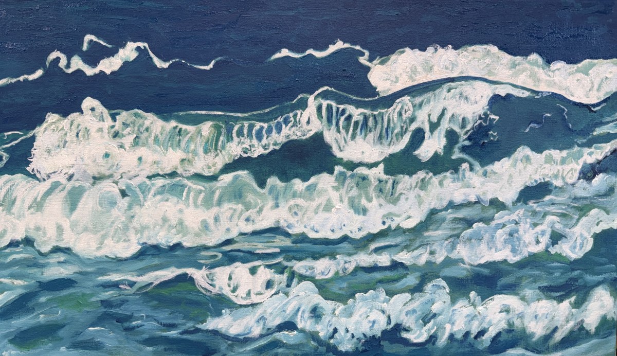 The Language of Waves - a study of the form and motion of waves from St Ives beach